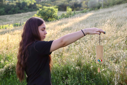 RITUALE SONORO dei 4 Elementi ✨ Kit professionale di Autoguarigione con Strumenti Vibrazionali